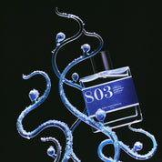 803 - Sea spray, ginger, patchouli
