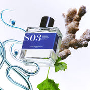 803 - Sea spray, ginger, patchouli
