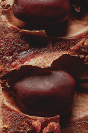 Carob & fig - soap bar