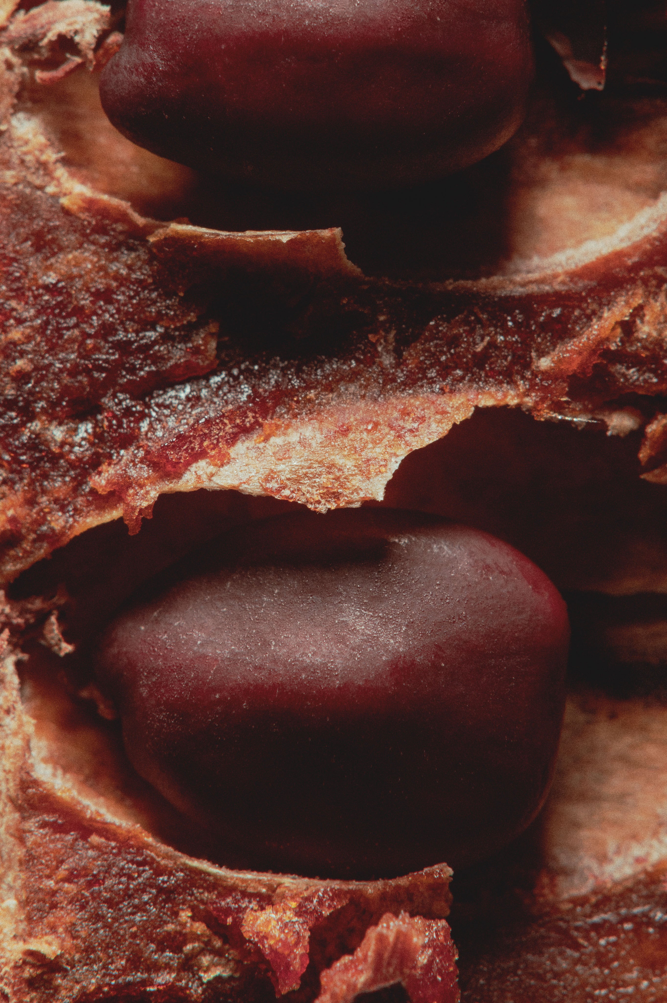 Carob & fig - soap bar