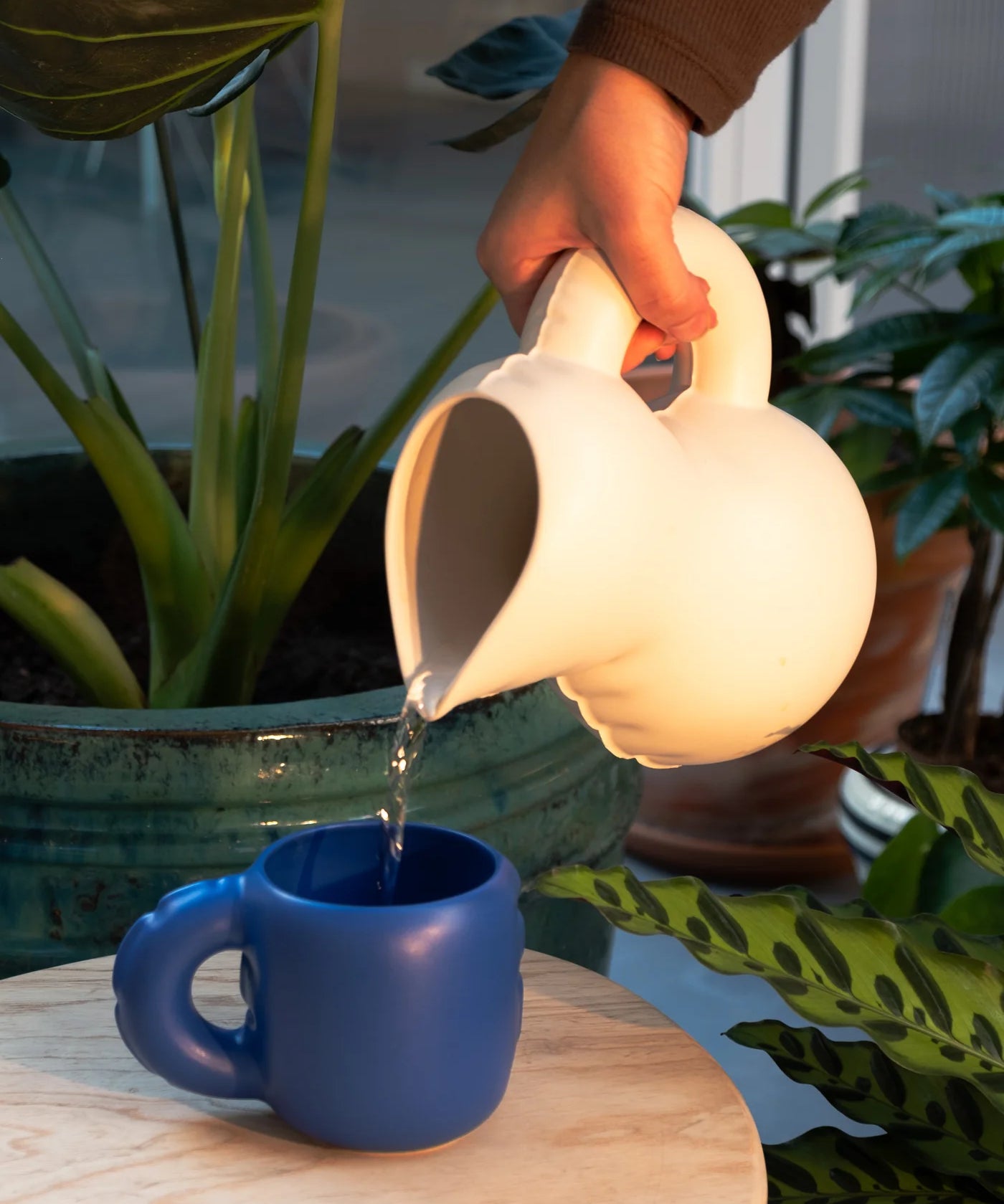 DSCF4171.webp