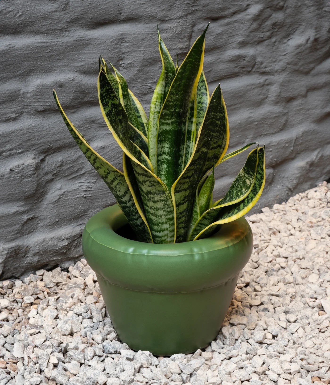 Home-Studyo-tableware-planter-moss-1200x1400px-2.webp