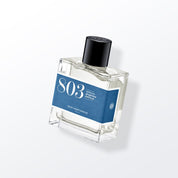 803 - Sea spray, ginger, patchouli