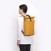 Hajo Medium - lotus honey mustard