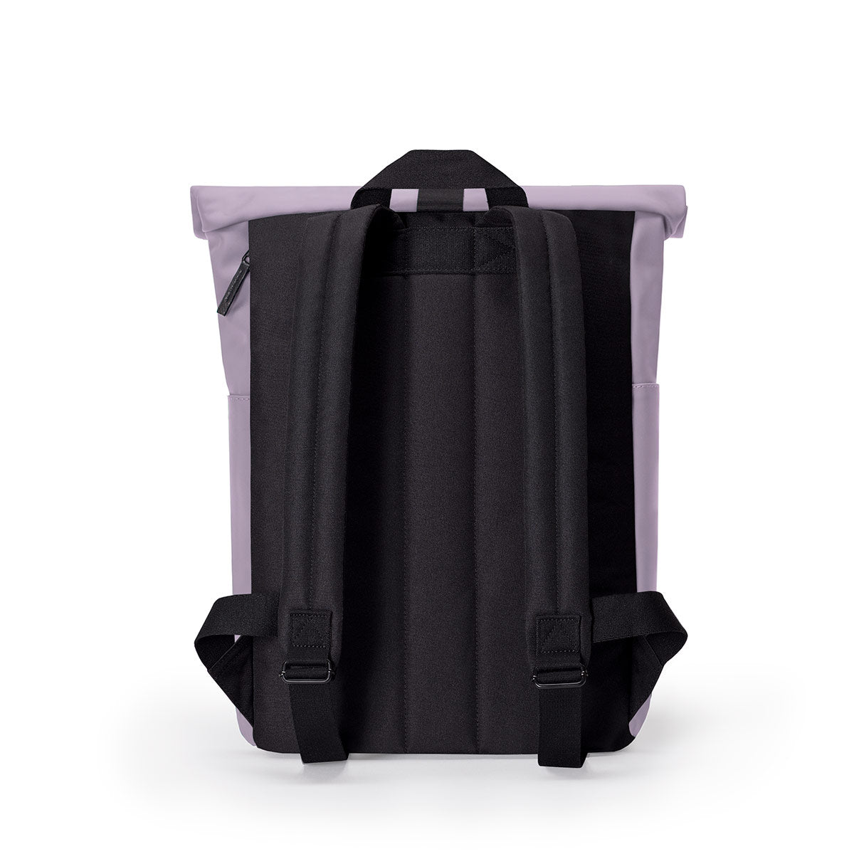 Hajo mini - lotus lavender (limited)
