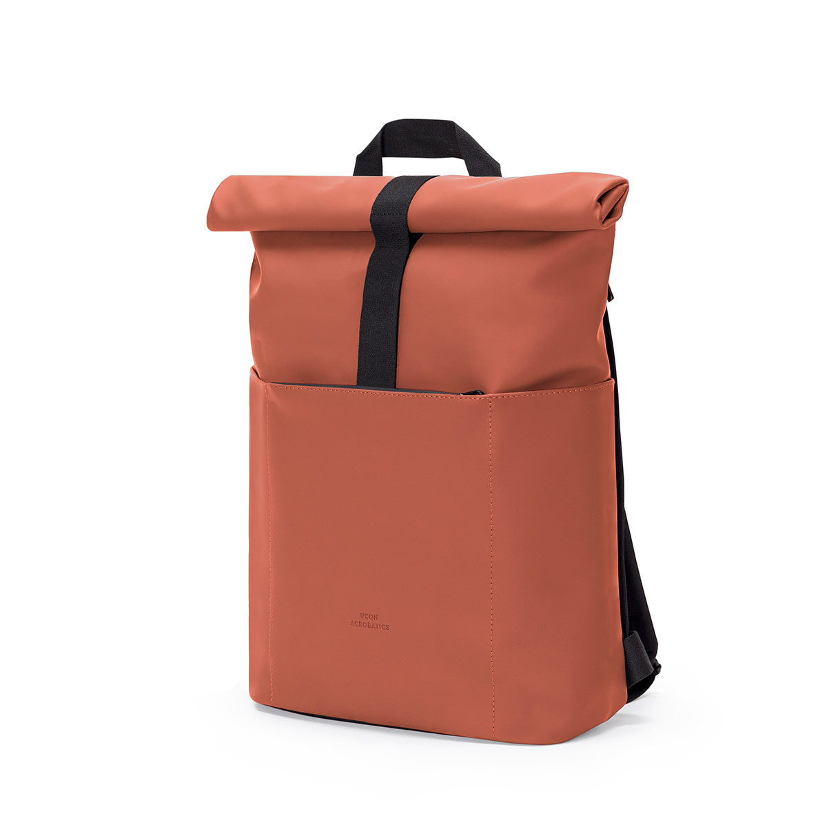 Hajo mini - rust