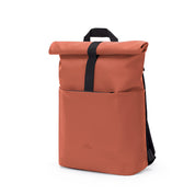 Hajo mini - rust