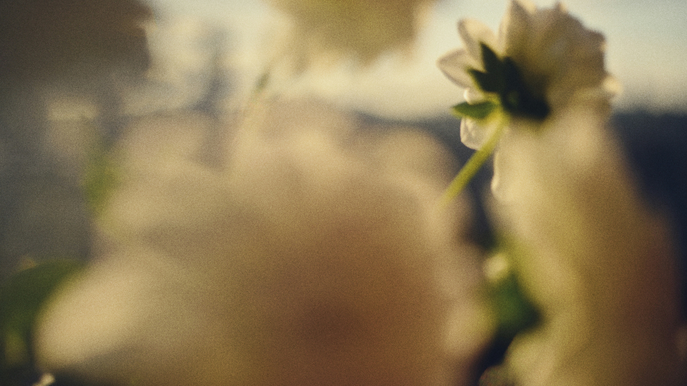 fonetik x loucil - the essence club