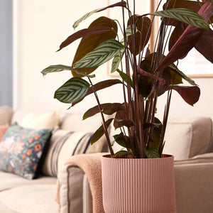 Vibes fold rond - plantenpot