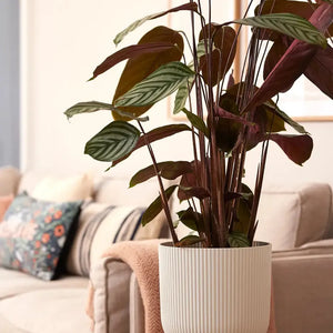 Vibes fold rond - plantenpot