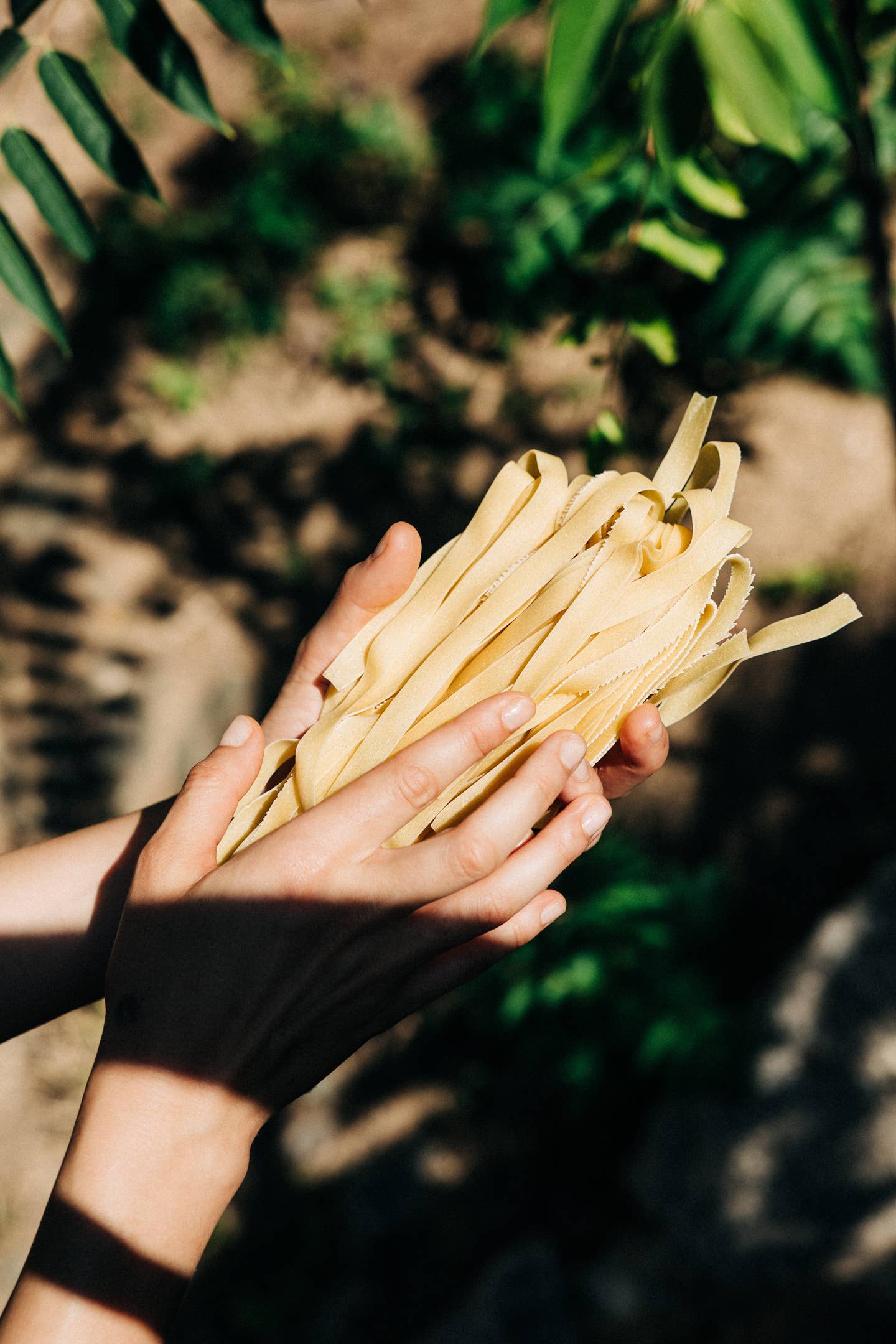 traditionele Griekse Tagliatelle (Hylopites)