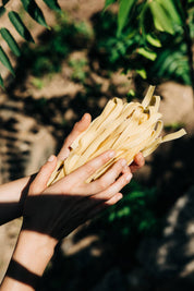 traditionele Griekse Tagliatelle (Hylopites)