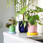 Planter churros - pink