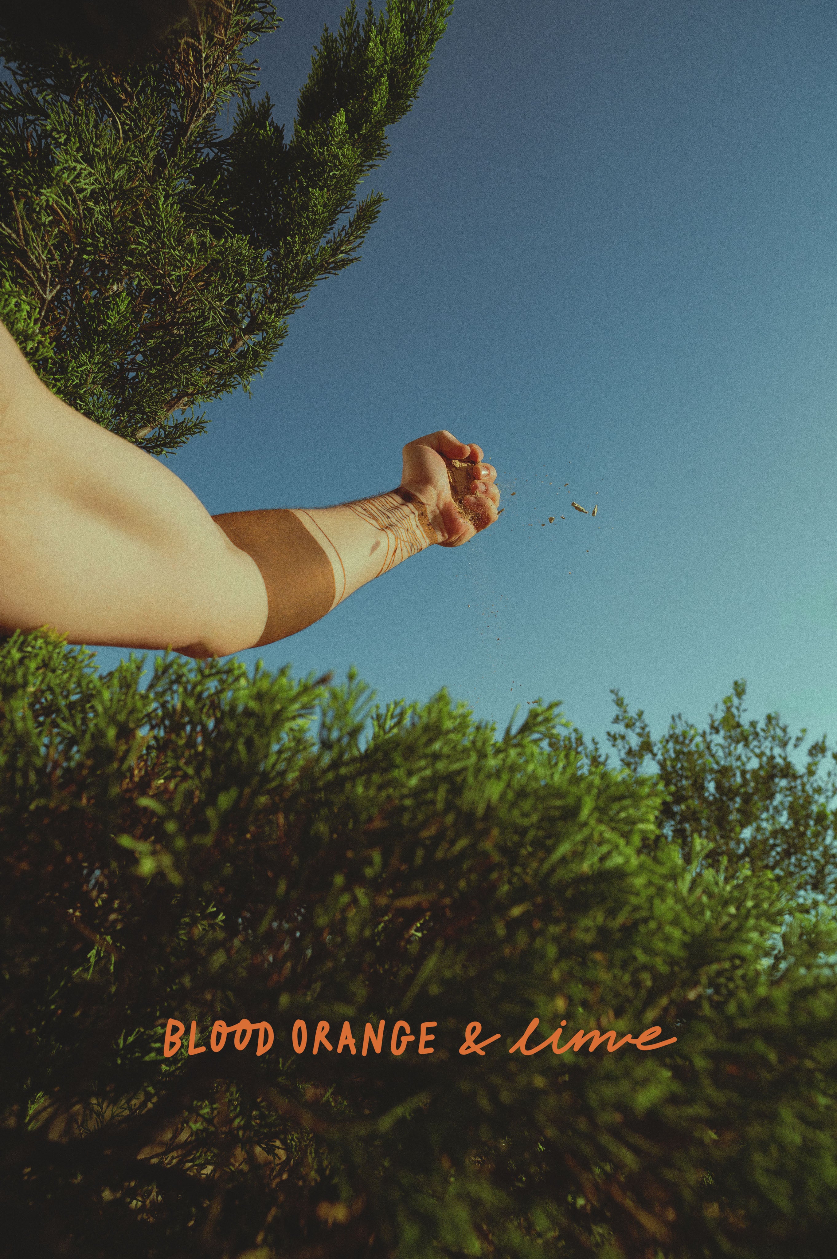 Blood orange & lime - soap bar
