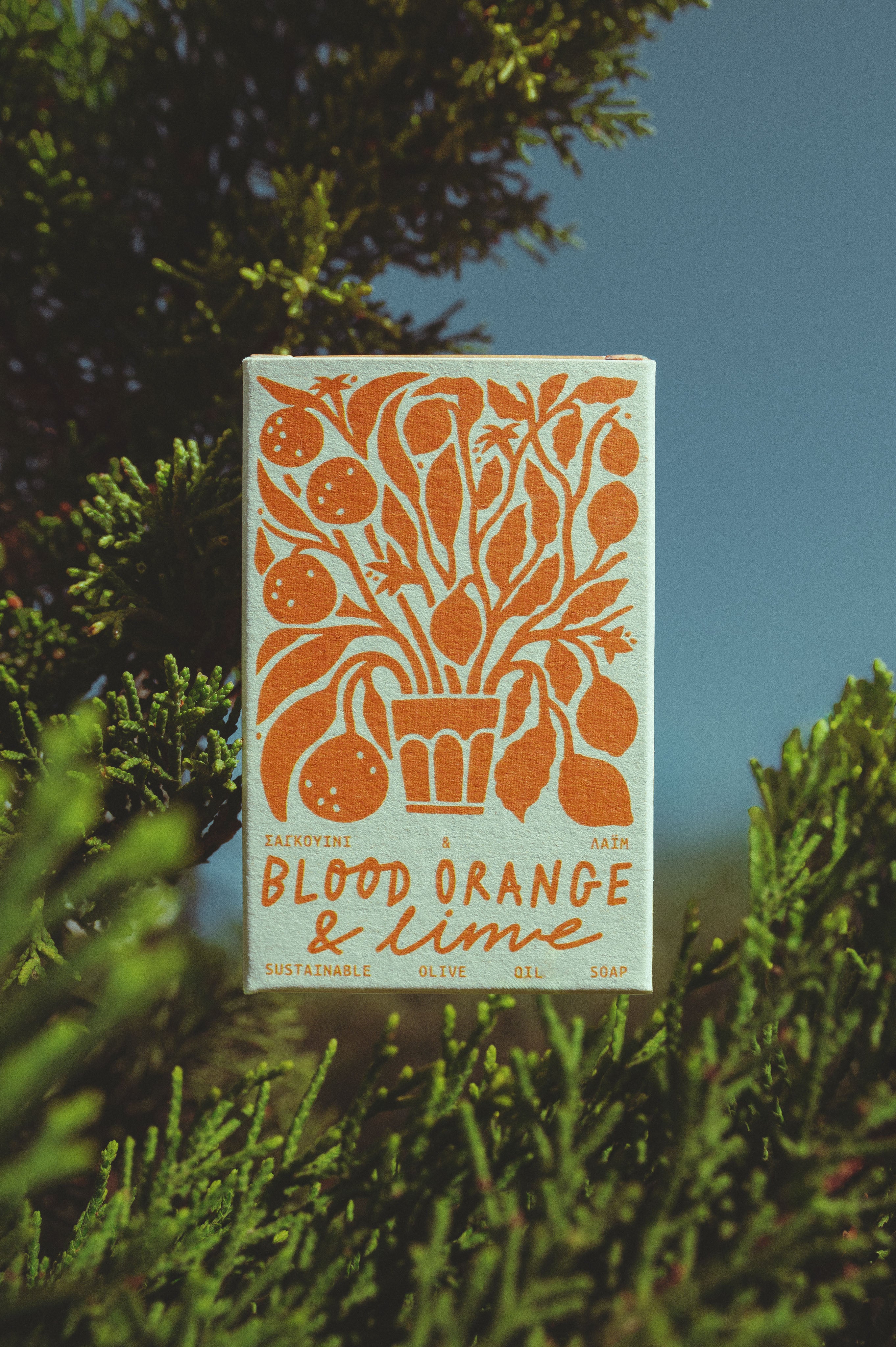 Blood orange & lime - soap bar
