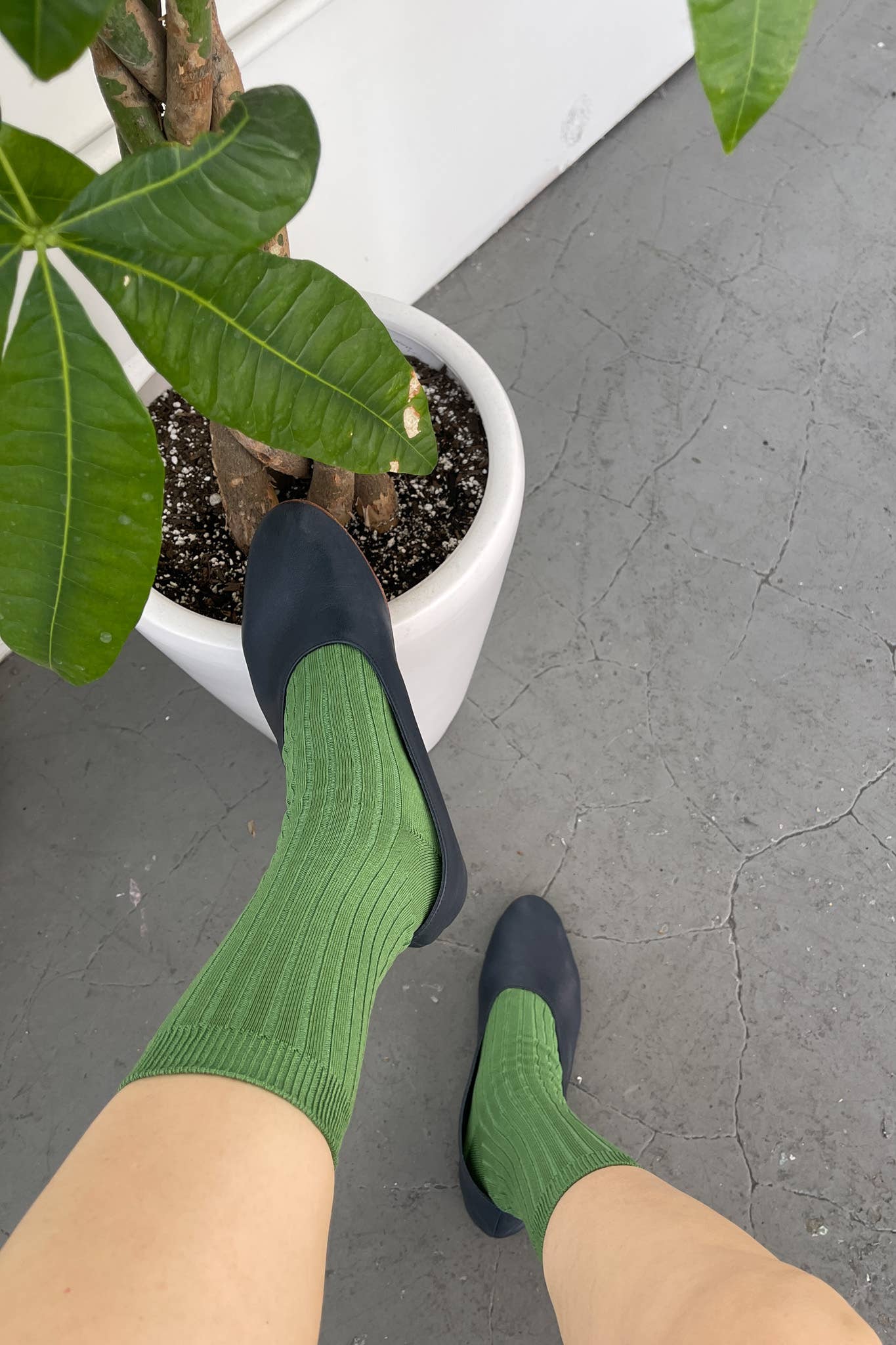 Her Socks - Eggplant