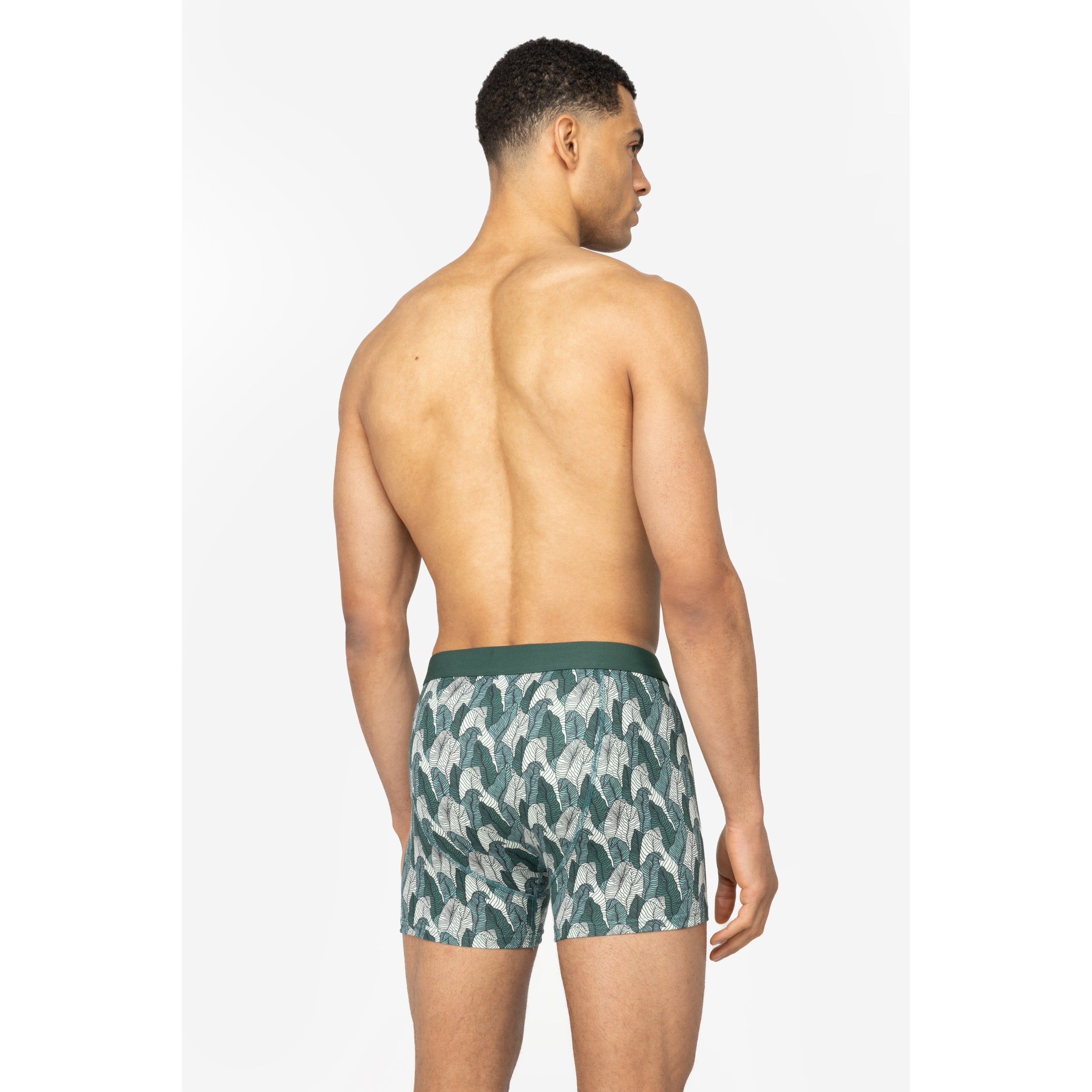 Boxer brief - Palm leaves