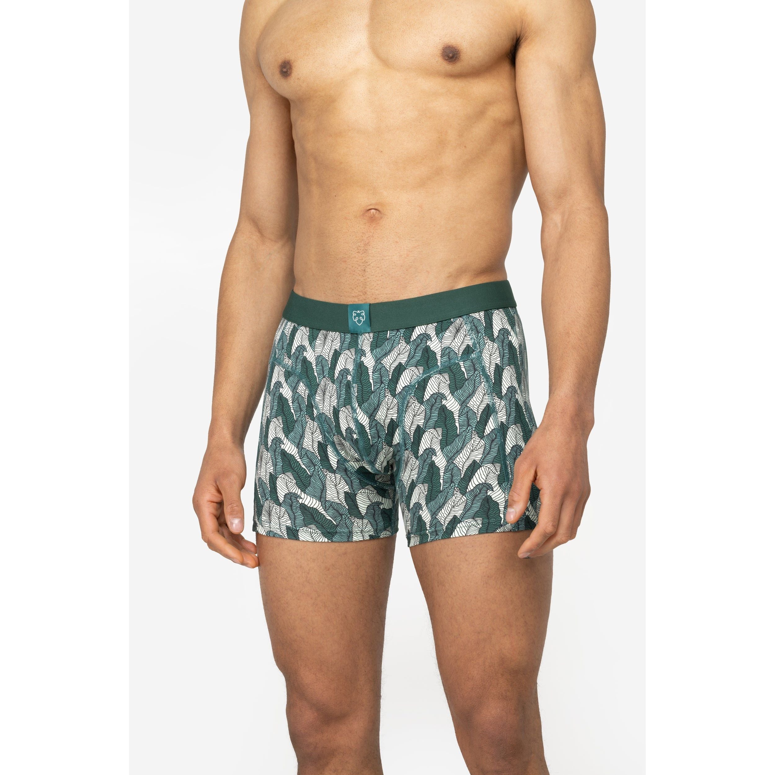 Boxer brief - Palm leaves