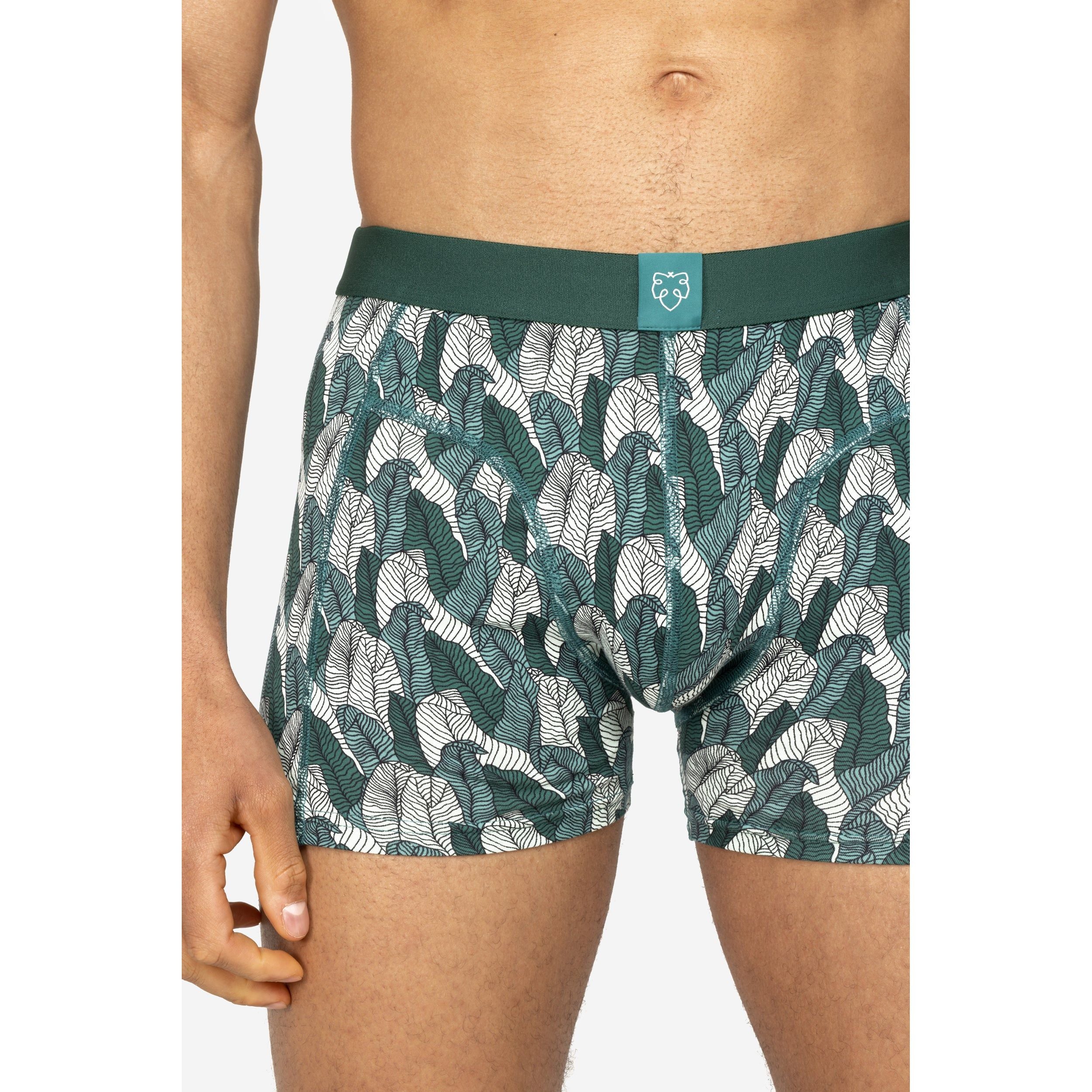 Boxer brief - Palm leaves