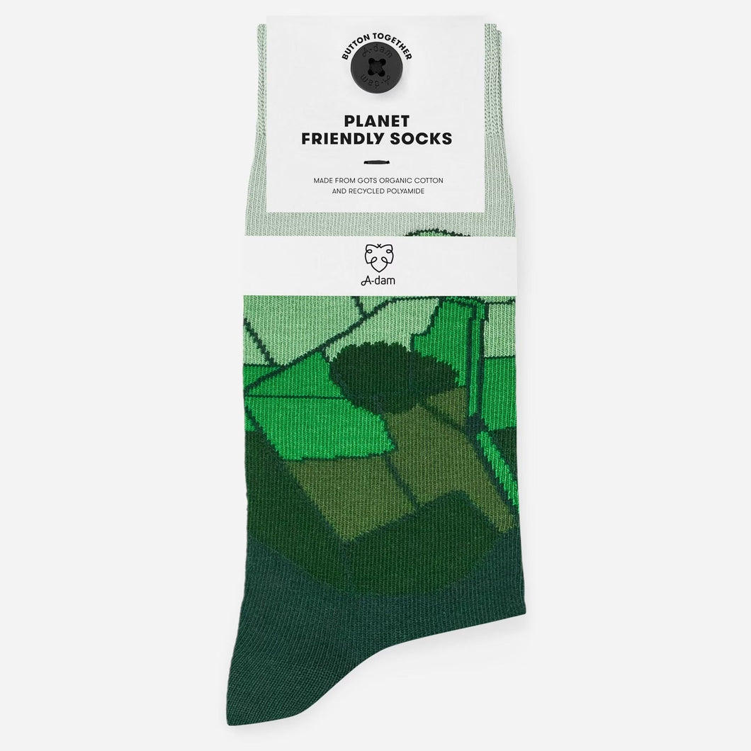 Green fields socks