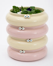 the bowl - Lucas Zanotto