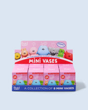 surprise box - mini vaas animal