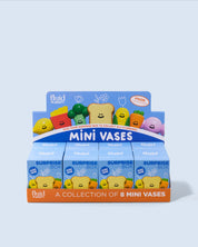surpise edition - mini vaas
