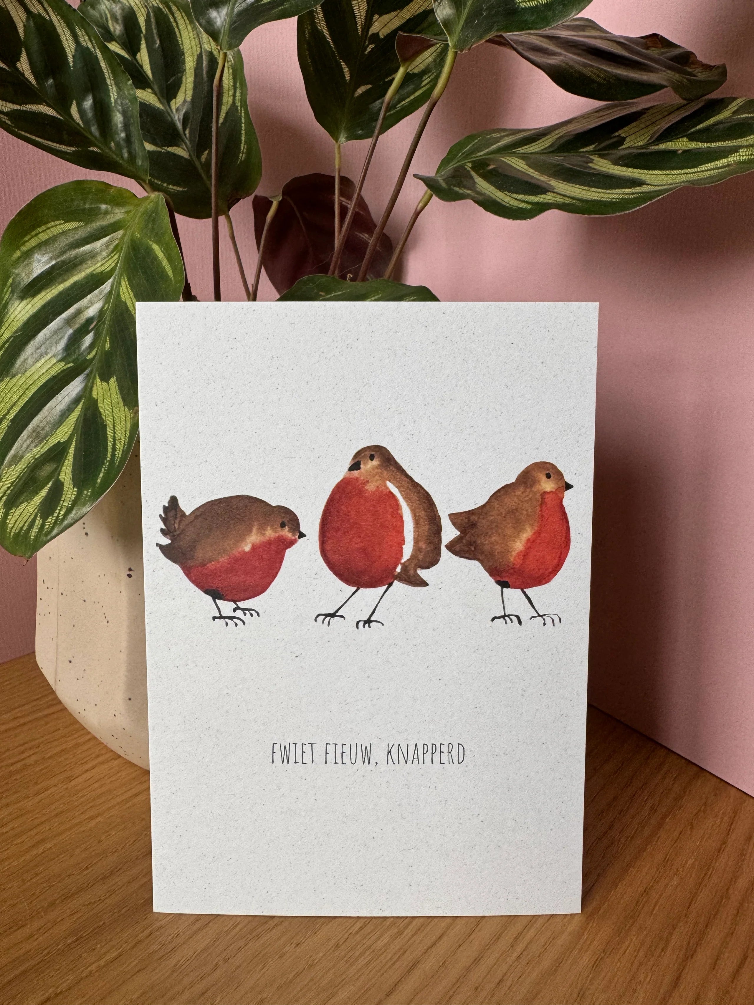 fwiet fieuw knapperd - kaart