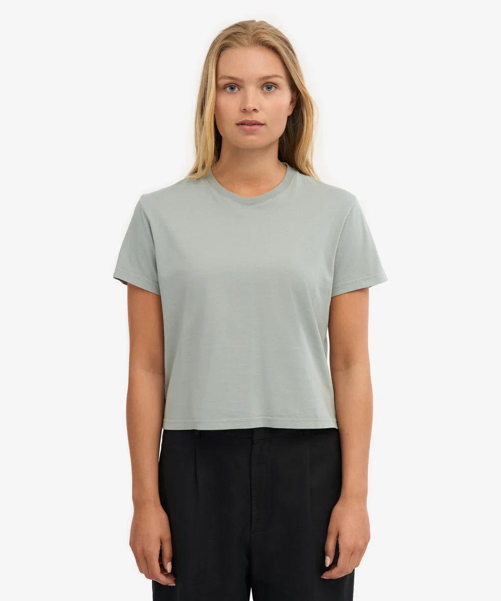 CS2057_Organic-Boxy-Crop-T-Shirt_Steel-Blue_Female_27791.webp