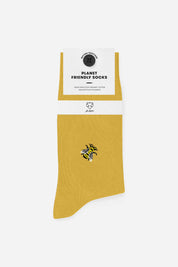 Gift set - Bee'n honey socks