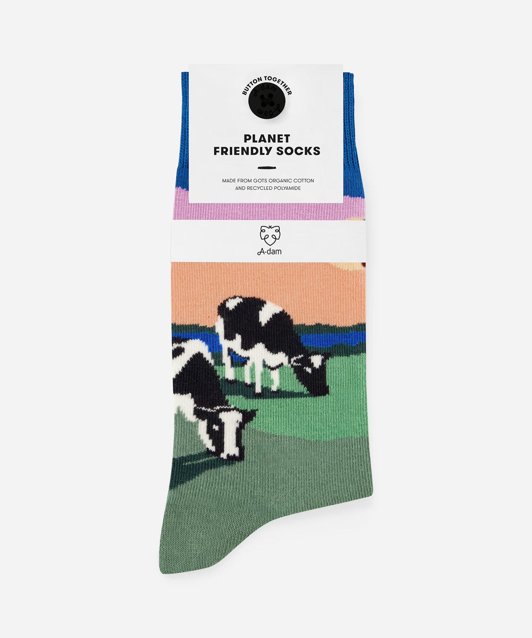 CasualSocks_GreenMeadow_Packaging.jpg