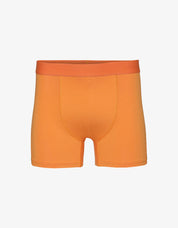 Classic organic boxer brief