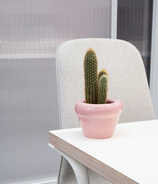 Louis planter gloss