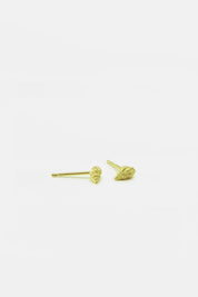 Oorbellen - conch small