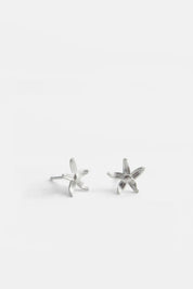 Oorbellen - posy small