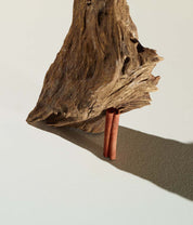 304 - Cumin, almond blossom, cedarwood