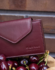 Harmonica wallet