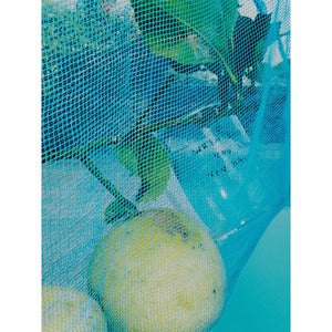 Glas - When life gives you lemons