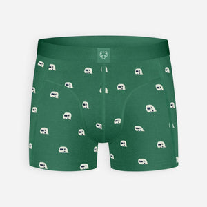 Green caravan boxer brief