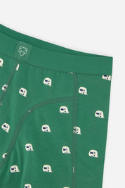 Green caravan boxer brief