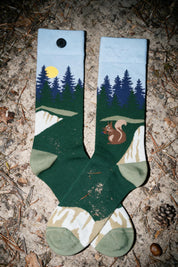 blue squirrel socks