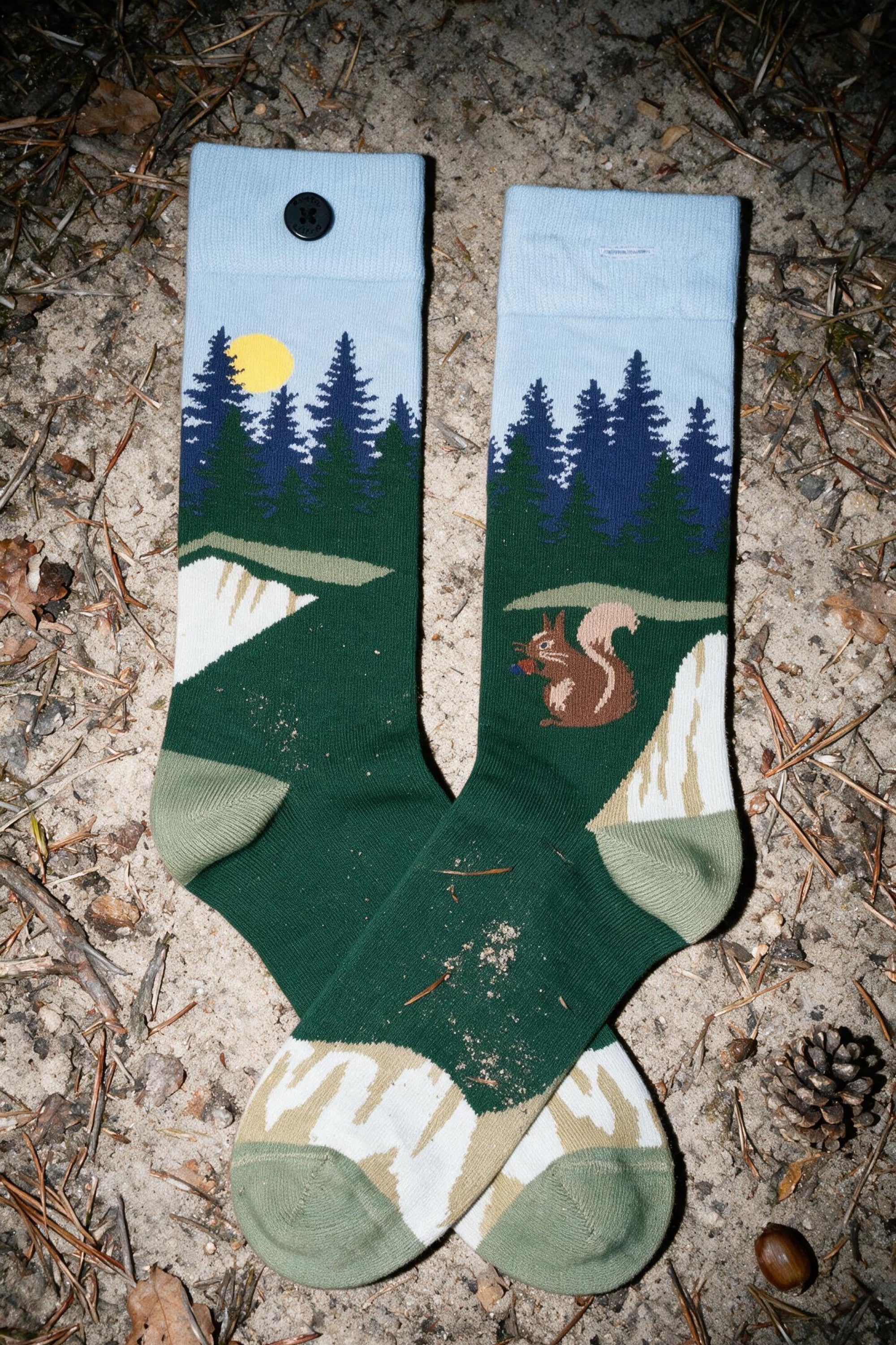 blue squirrel socks