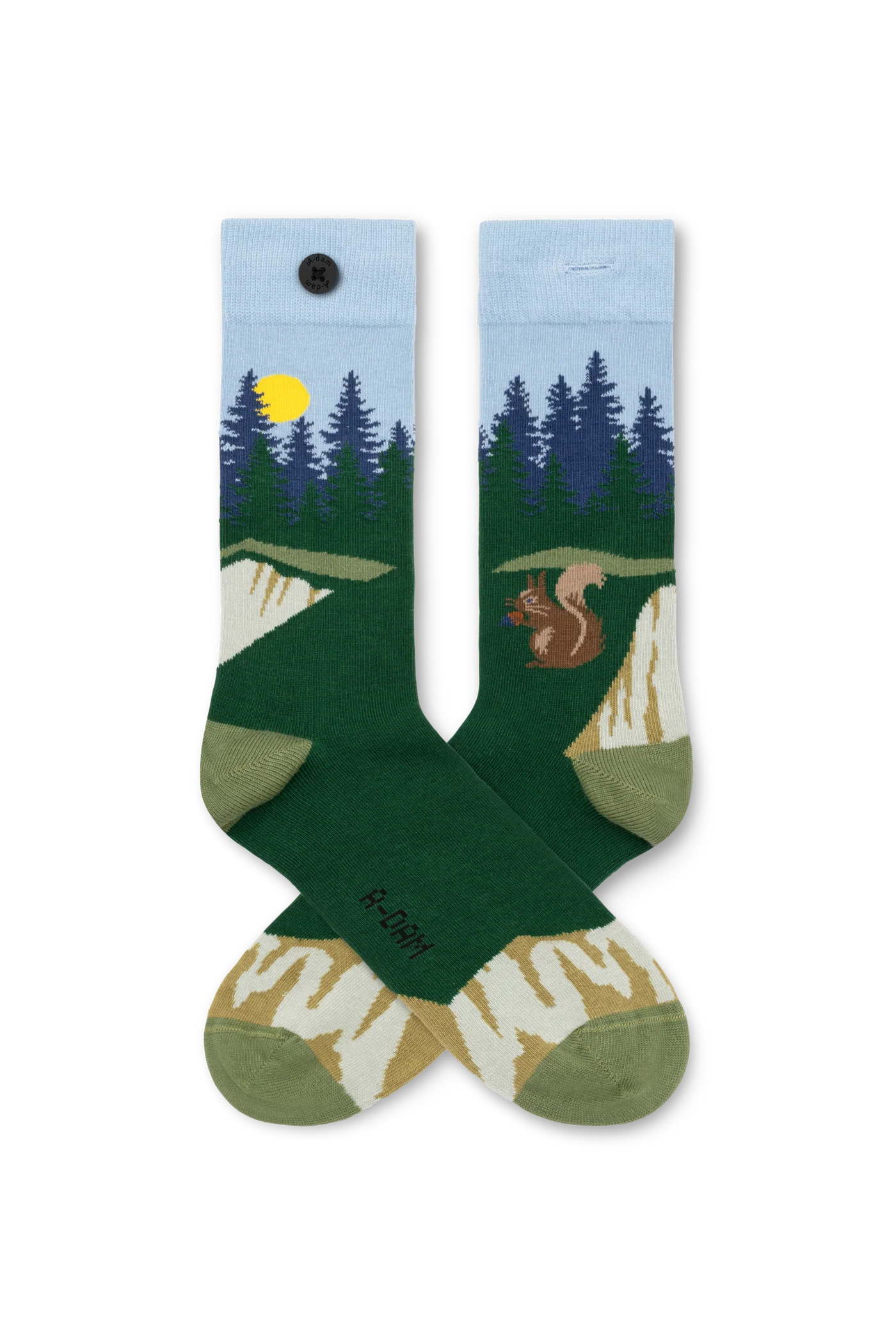 blue squirrel socks