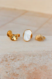 Ring - Shell