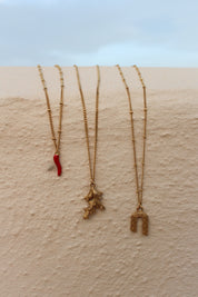 Ketting - Coral