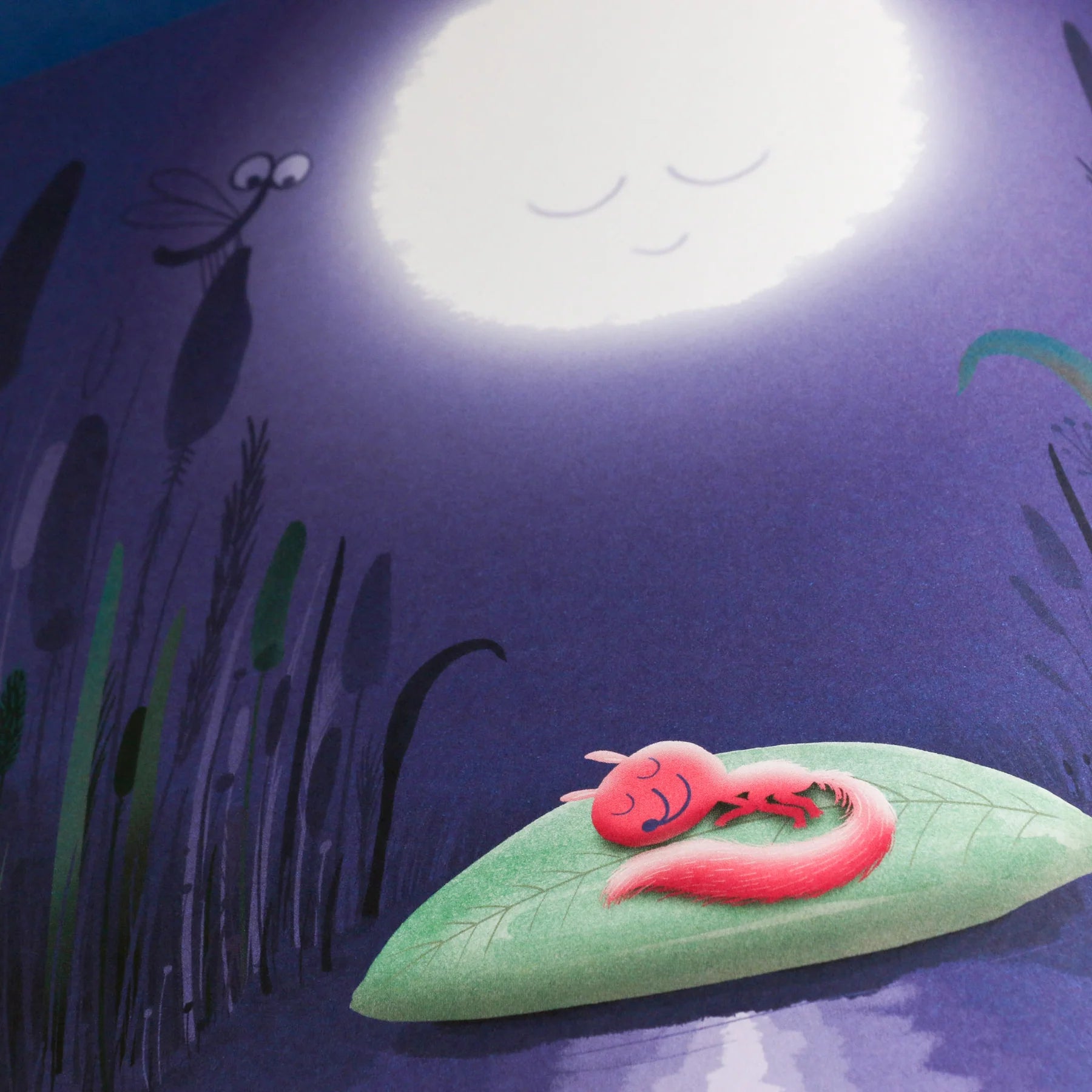 little one - A baby book by Anders Arhoj
