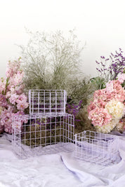 The baskets