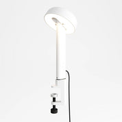 NOD clamp-on lamp