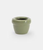 Louis planter gloss