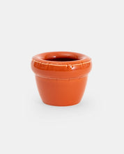Louis planter gloss